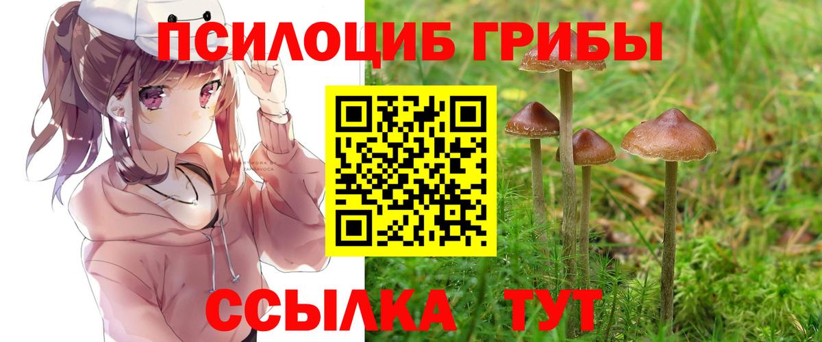 Псилоцибиновые грибы Psilocybine cubensis  Вход с VPN  цены   Котельники 