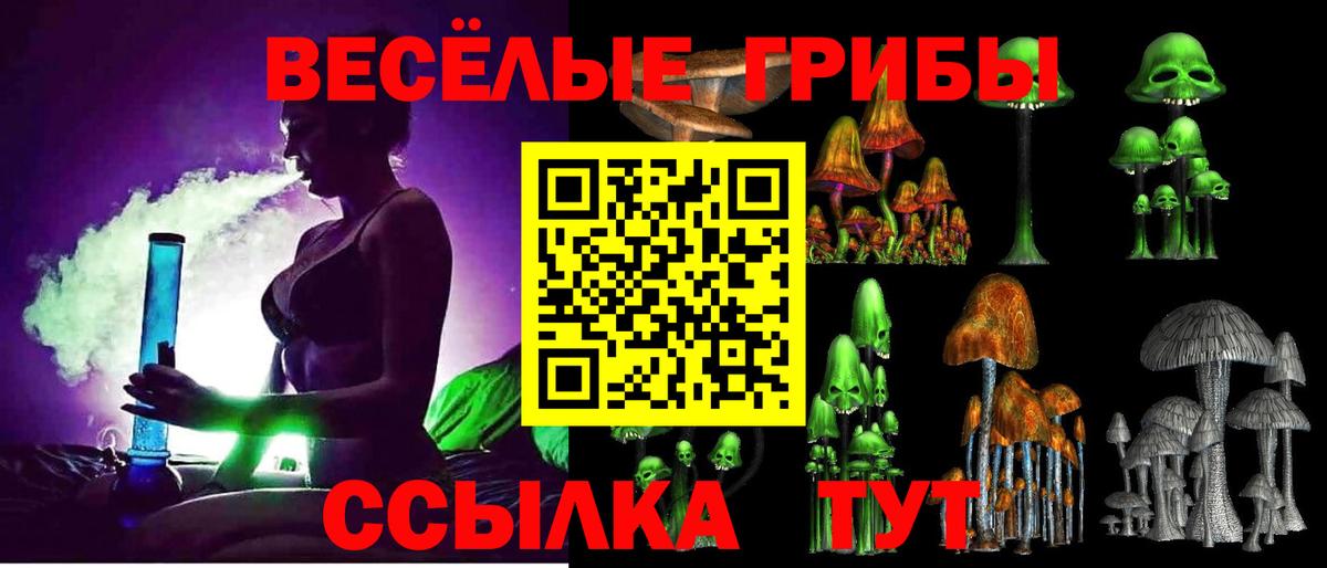 Галлюциногенные грибы MAGIC MUSHROOMS Котельники